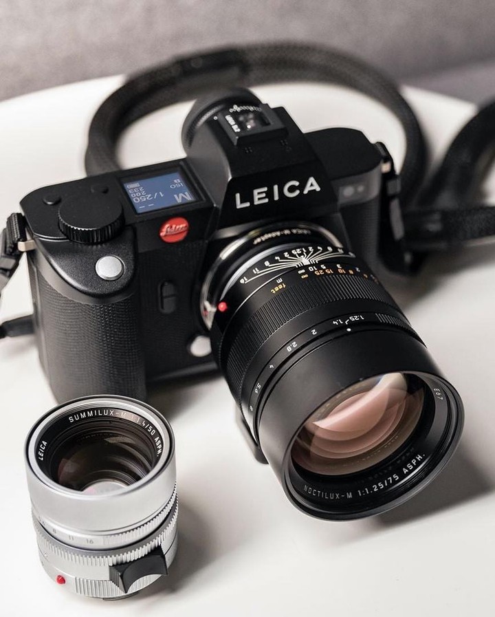 봄은 빨간딱지와 함께🔴 이미지4