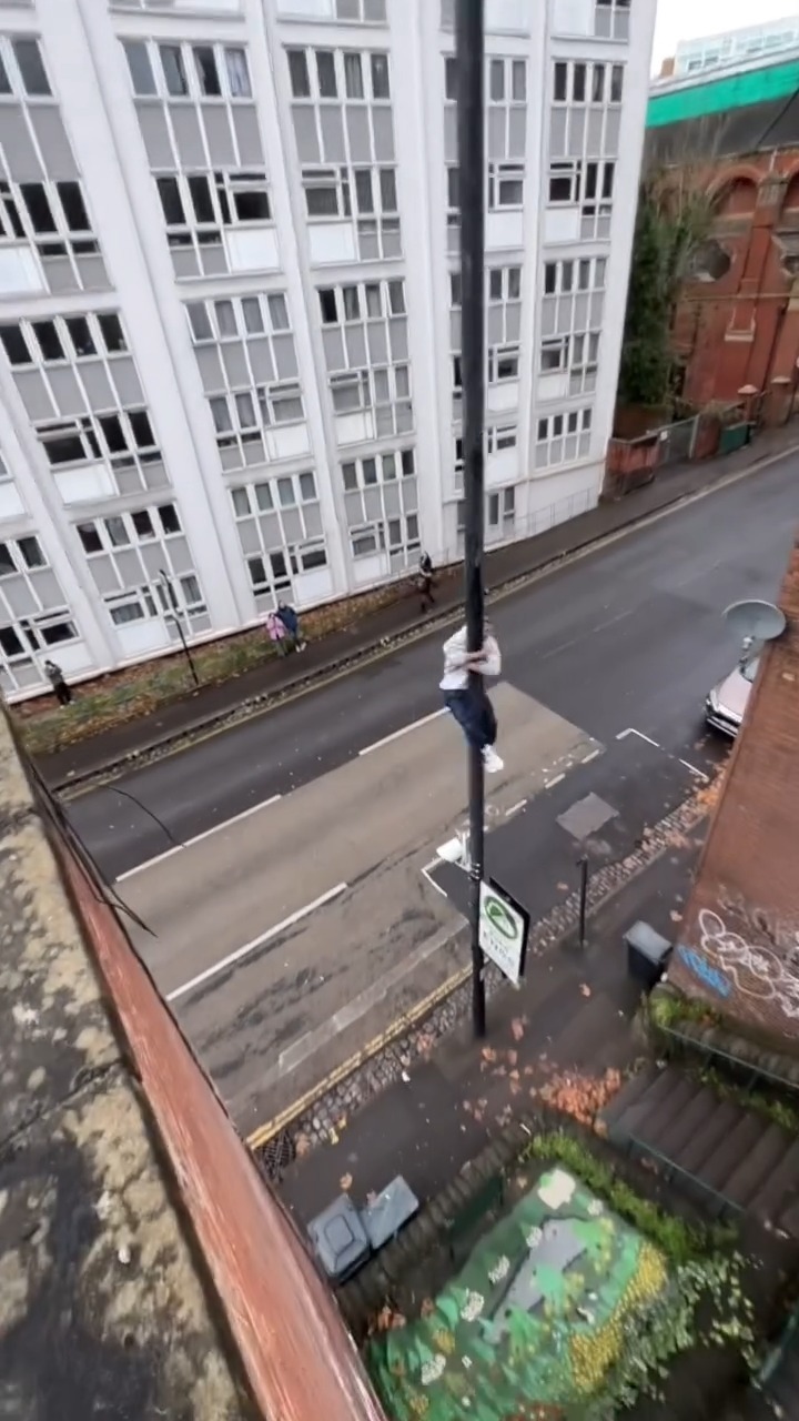 국가권력급 파쿠르 장인🧑‍🎨🔥 이미지