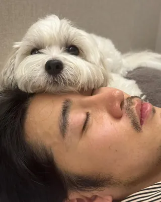 수염 땡기자너🧔🏻 이미지
