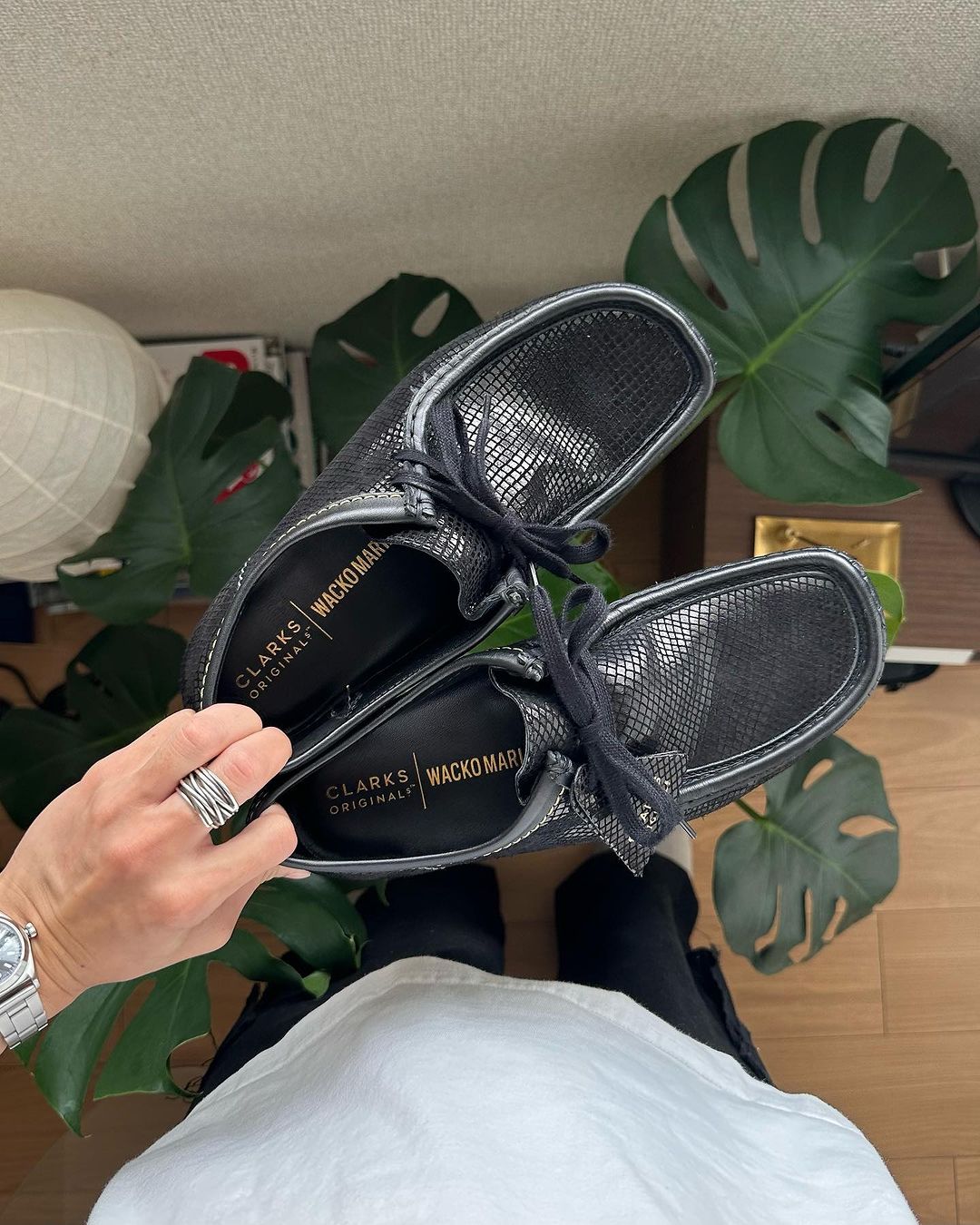 와코마리아 왈라비의 묵직함🐊 이미지