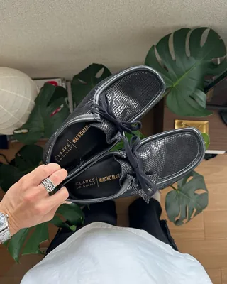 와코마리아 왈라비의 묵직함🐊 이미지