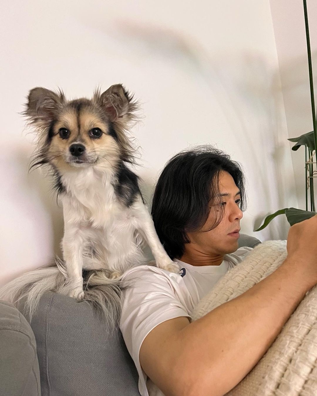 장발 자극하는 빈지노👨🏿‍🎤​ 이미지5
