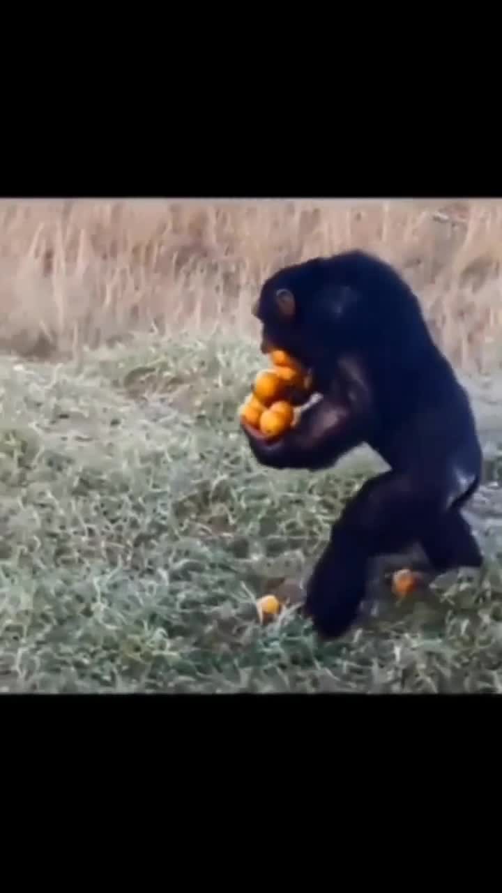 “각 생활관 1명 행정반으로”🦍🍊 나다 싶으면 해라🪖​ 이미지