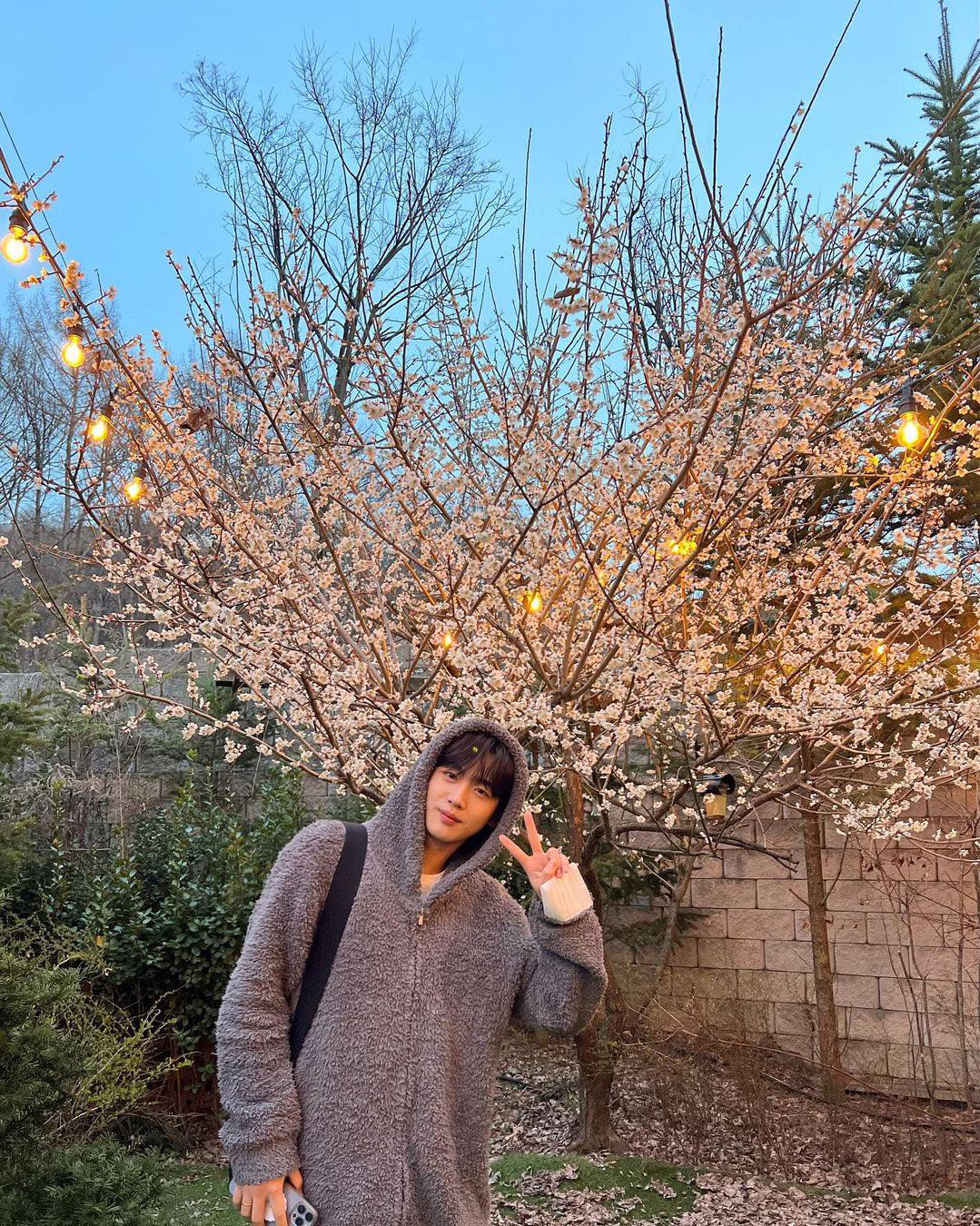벚꽃 오늘 봐야지🌸 이미지4