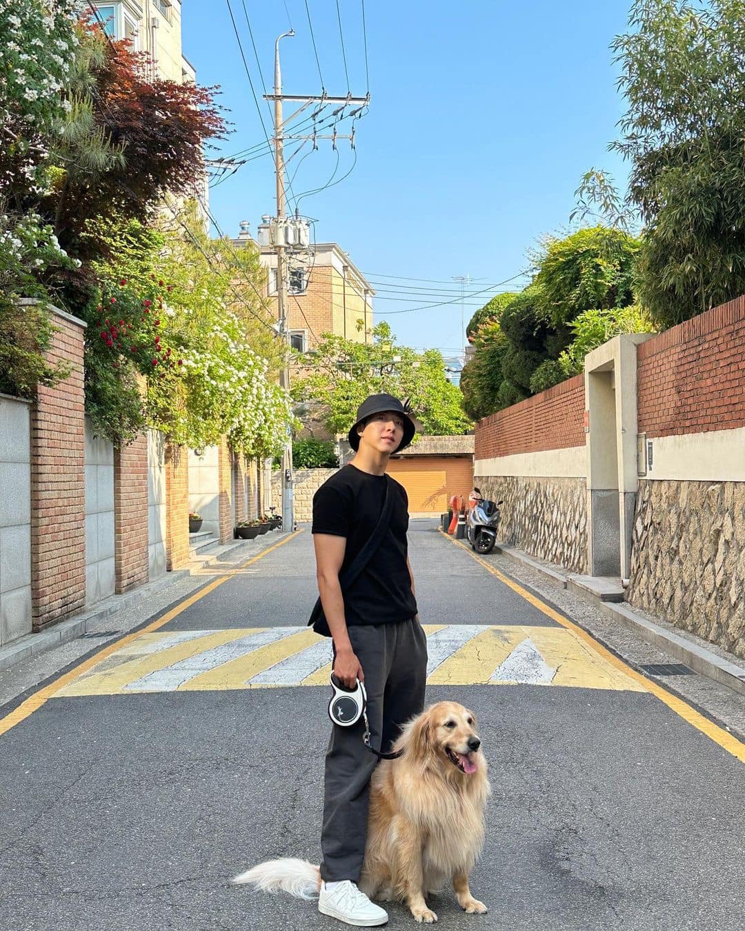 여름 산책룩 신경써야지🐕🐾 이미지3
