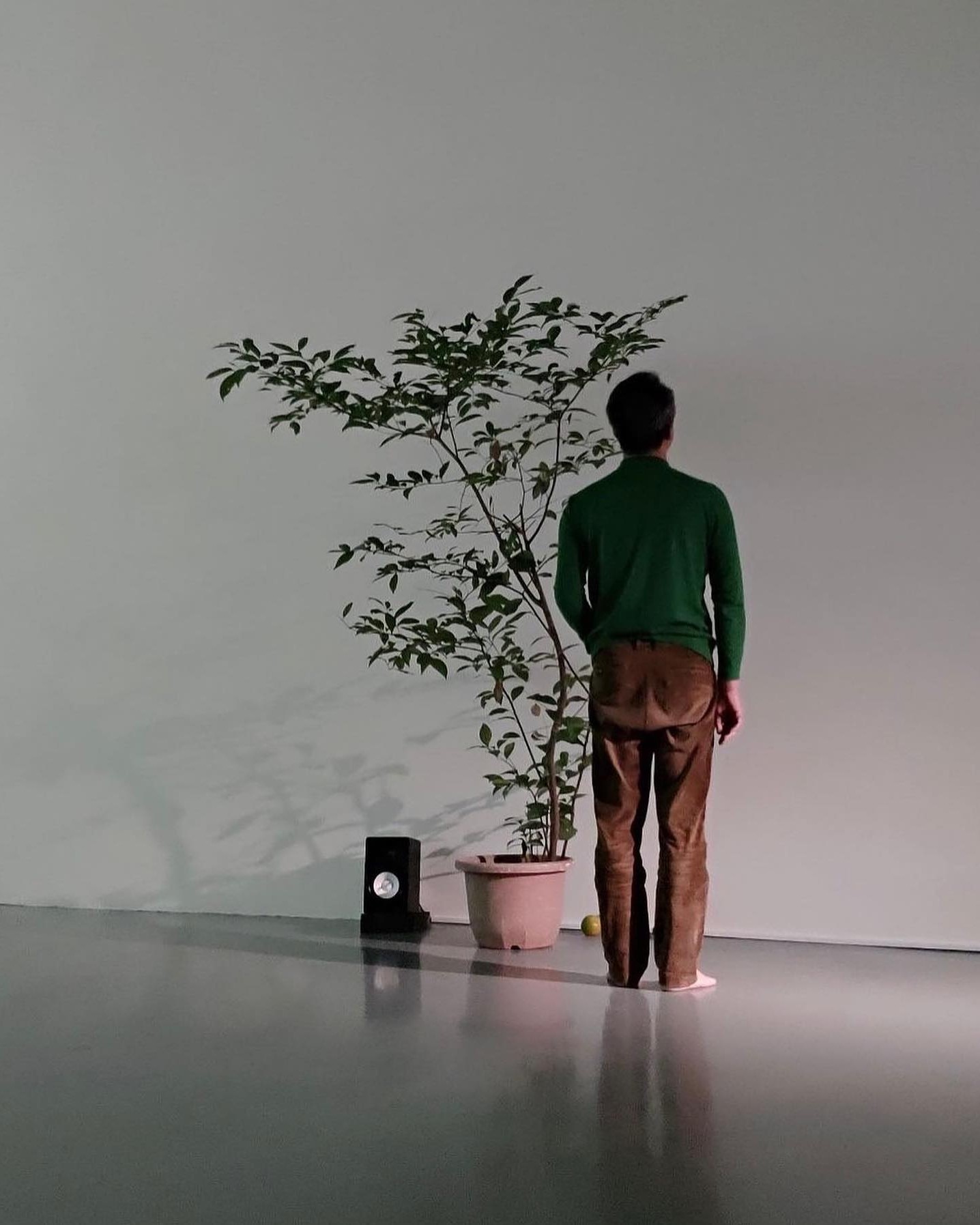 배우이자 화가, 음악가👨‍🎨🖼️진정한 종합예술인 백현진🎬

모범택시의 회장님, 무빙의 진천 등 개성 있는 연기로 호평을 받는 백현진 배우. 사실 그는 연기 이외에도 여러 분야에서 활동하는 종합예술인입니다. 화가와 설치미술가로서 여러 차례 개인전을 열기도 하고, 밴드나 솔로로 여러 앨범을 발매하기도 했죠. 실제로 과거 자우림의 ‘나는 가수다’ 무대에 초대 가수로 참여한 적도 있고, 네이버 온스테이지에서 그의 라이브 공연 영상을 볼 수도 있어요. 미적인 감각이 뛰어난 만큼 일상 패션 감각도 굉장히 주목받고 있는 백현진. 예술가들의 예술가로 불리는 그의 패션을 확인해보세요📸 이미지10