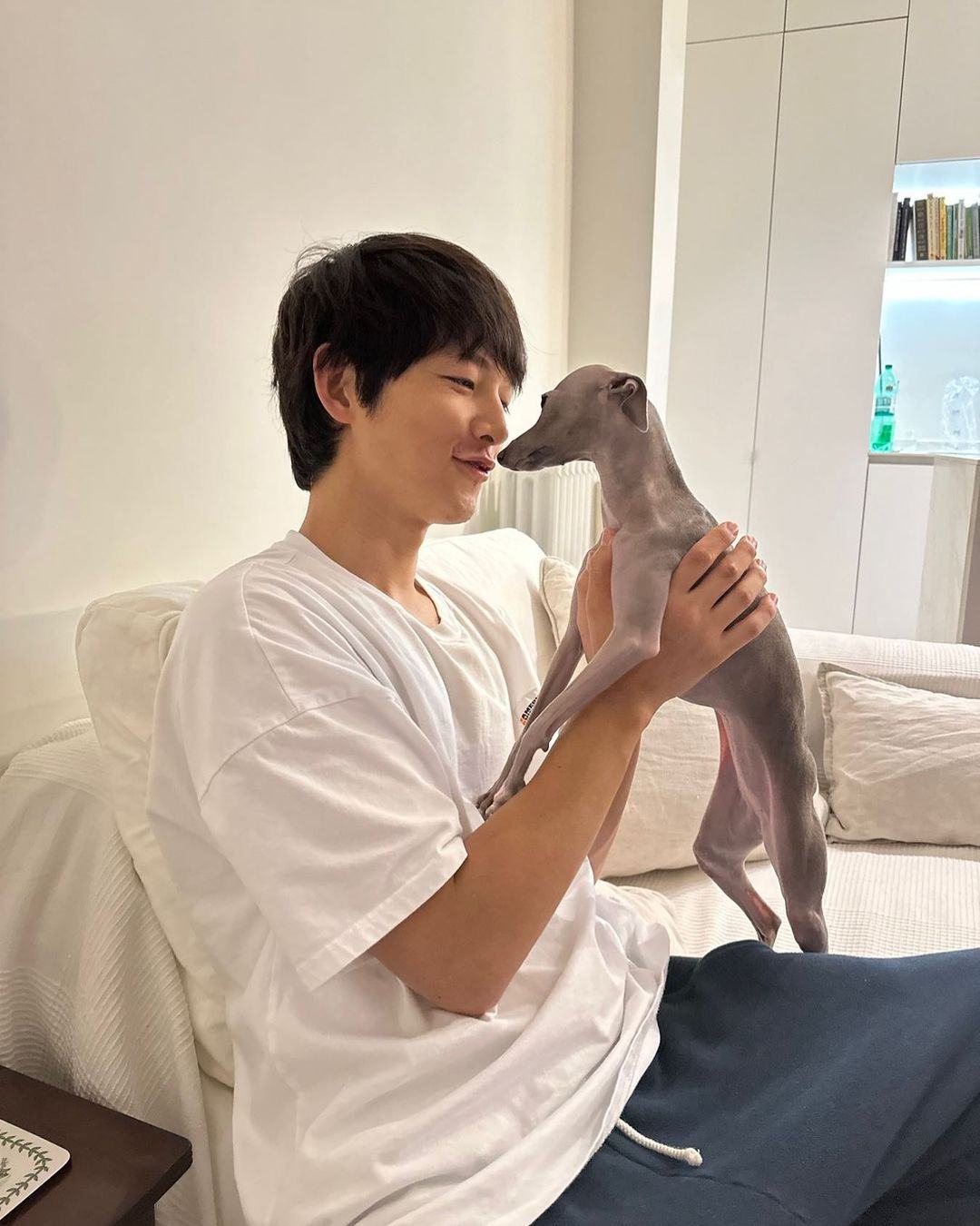 주인아 일어나 산책가야지🐕 이미지2