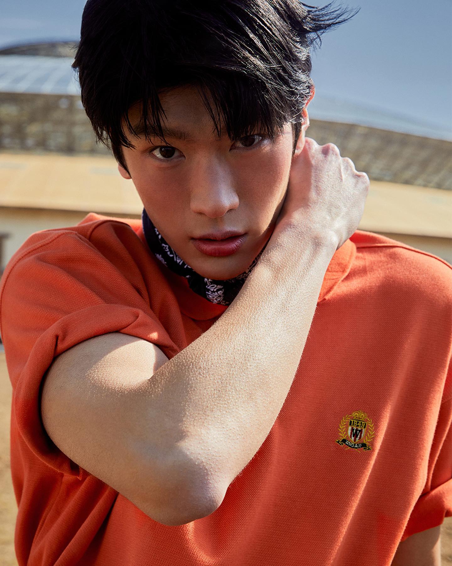 엠블럼 & 곰돌이 카라티👑🐻@추가 이미지2