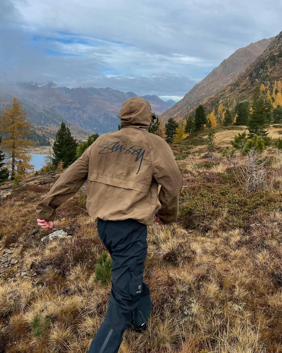 참 찰진 스투시 로고🤠 이미지