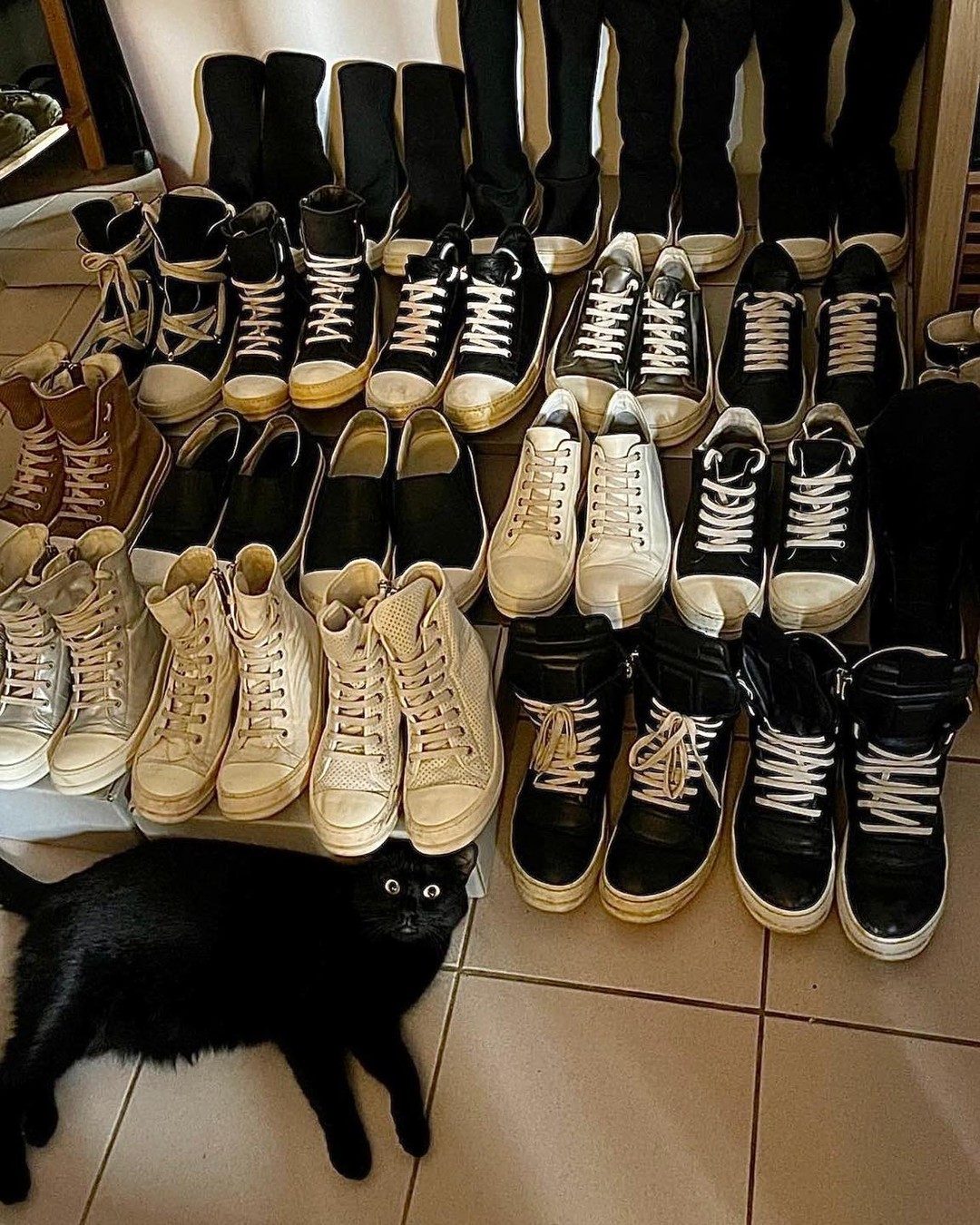 릭집사의 삶 🐈‍⬛ 이미지"