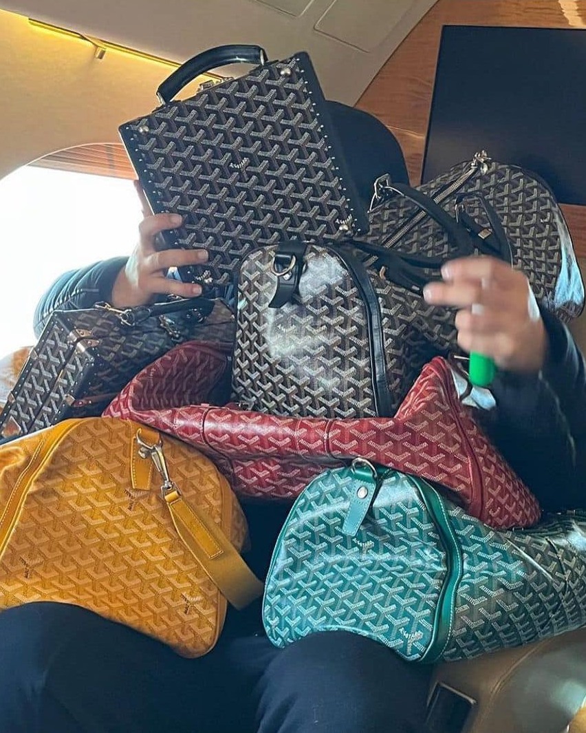 고야드는 들어줘야 제 맛💼🔥 이미지