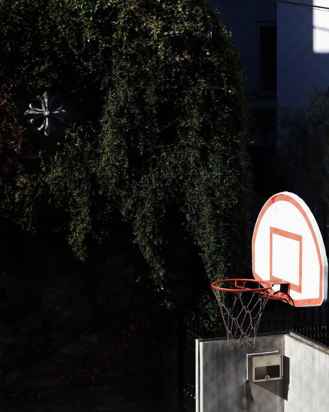 간지나는 크롬하츠 농구골대🏀 이미지5