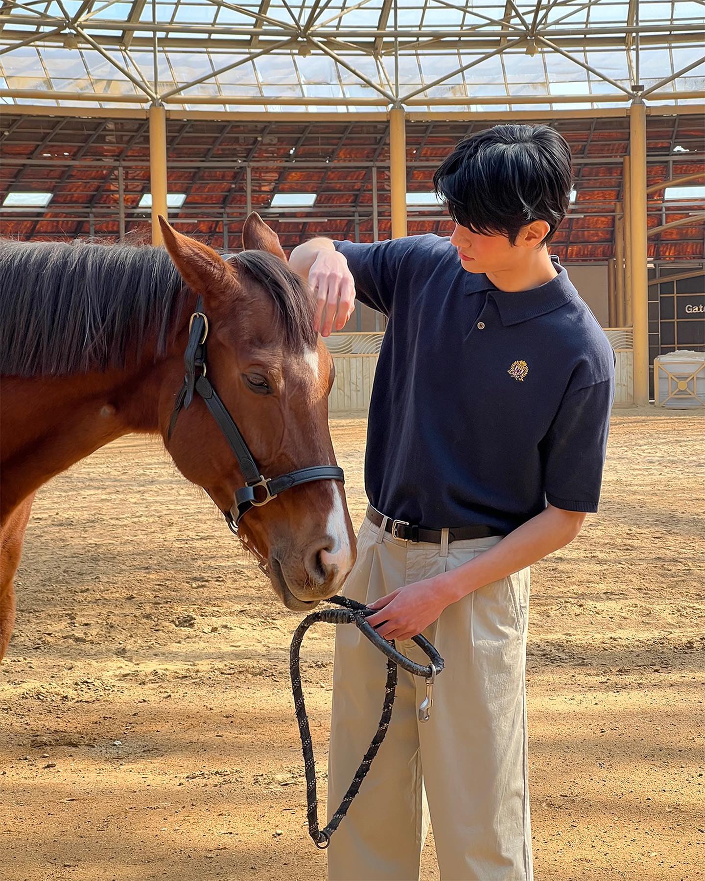 엠블럼 & 곰돌이 카라티👑🐻@추가 이미지7