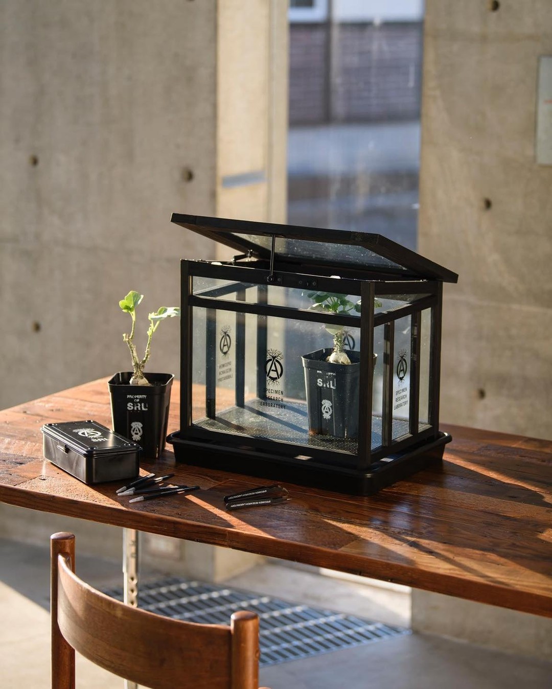 남자의 식물 사랑🌵 이미지8