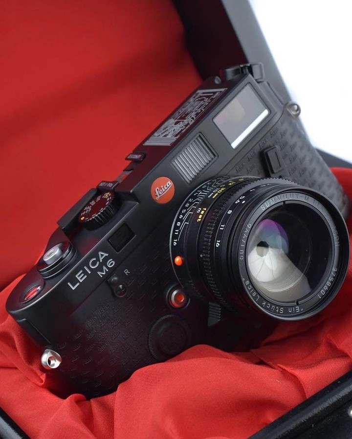 봄은 빨간딱지와 함께🔴 이미지6