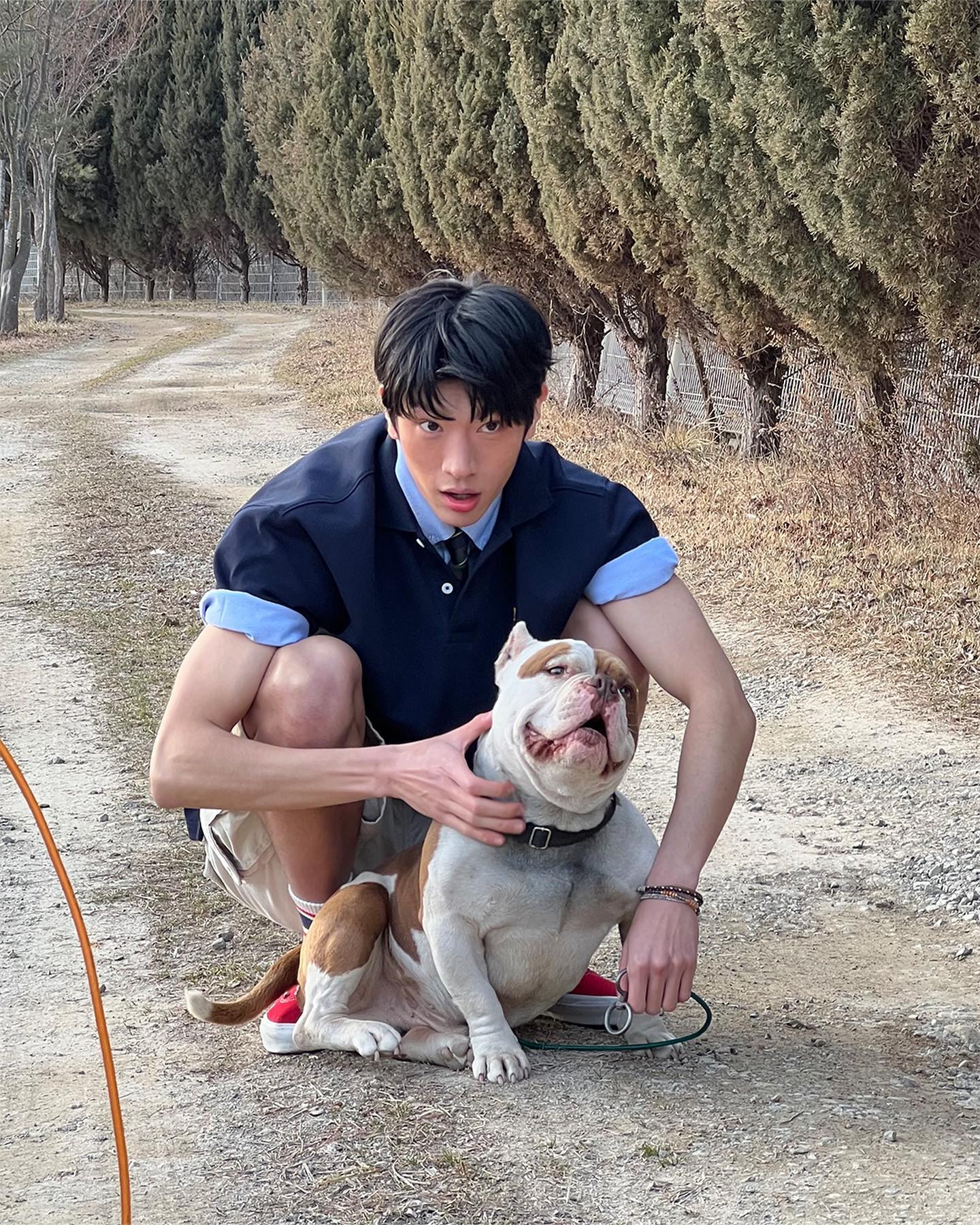 엠블럼 & 곰돌이 카라티👑🐻@추가 이미지4