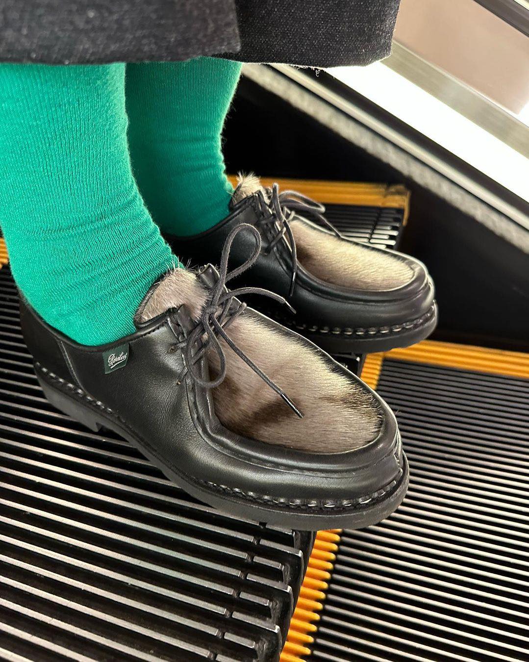 포인트로 제격 송치달린 파라부트🐮 이미지2