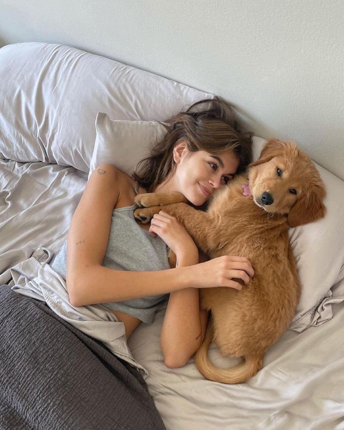 댕댕이와 함께 하는 주말🏡🐾 이미지"