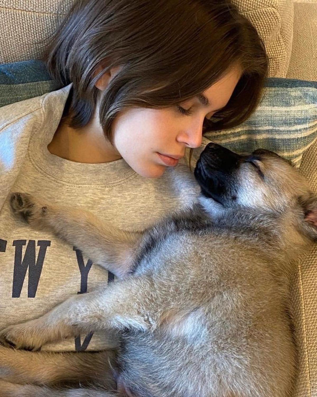 댕댕이와 함께 하는 주말🏡🐾 이미지4