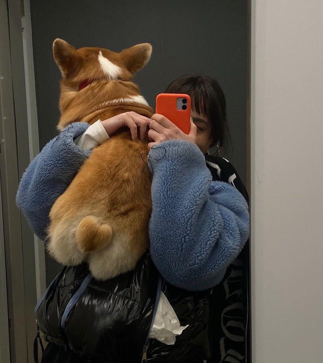 나도 댕일리룩🐶🧡@찍을래 이미지3