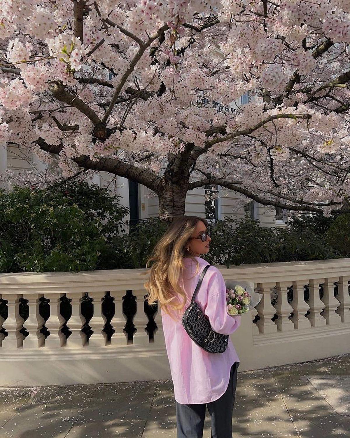 이번주엔 벚꽃 보러 가야지🌸🌸 이미지"