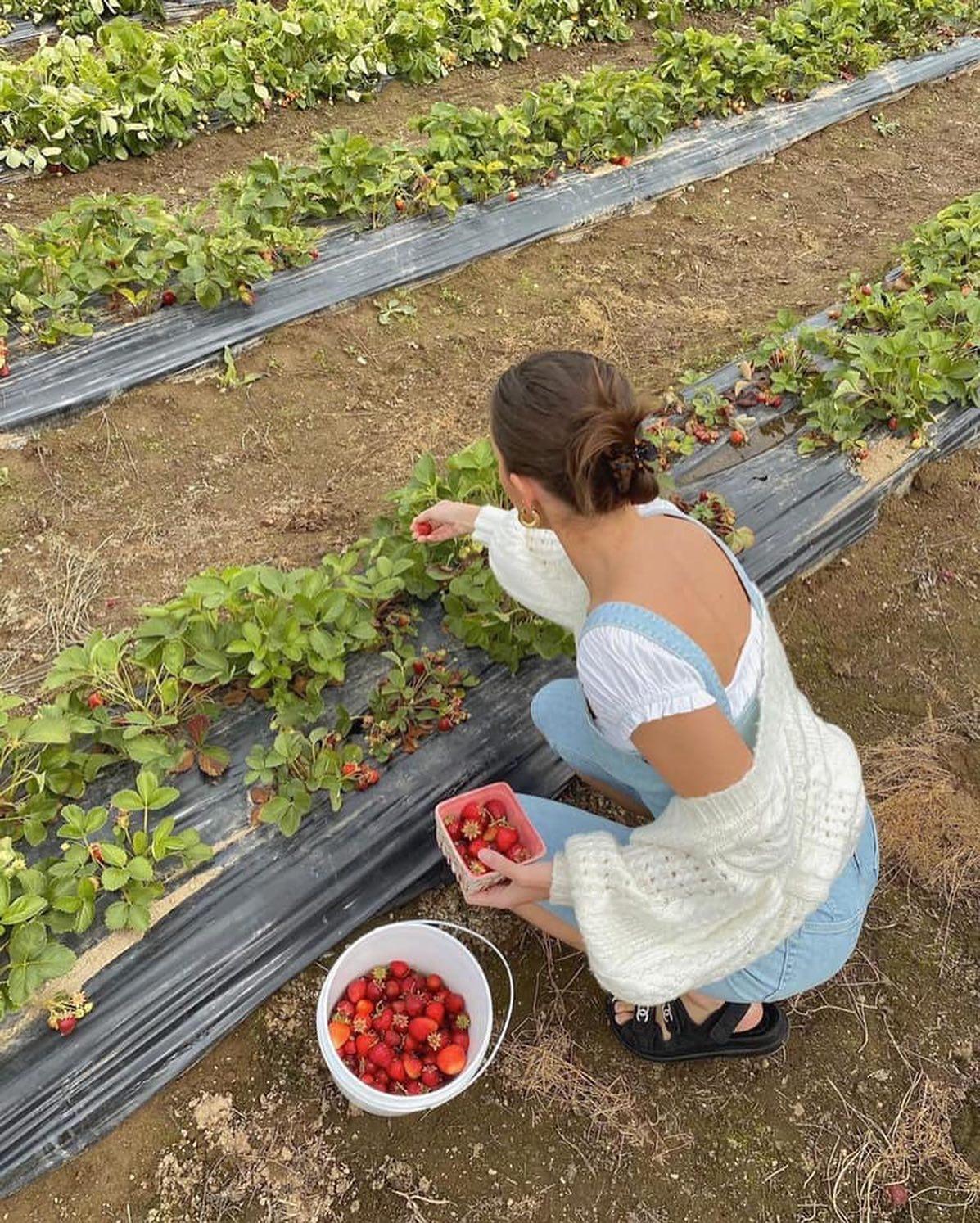 봄엔 역시 크롭가디건@참고🤍 이미지6
