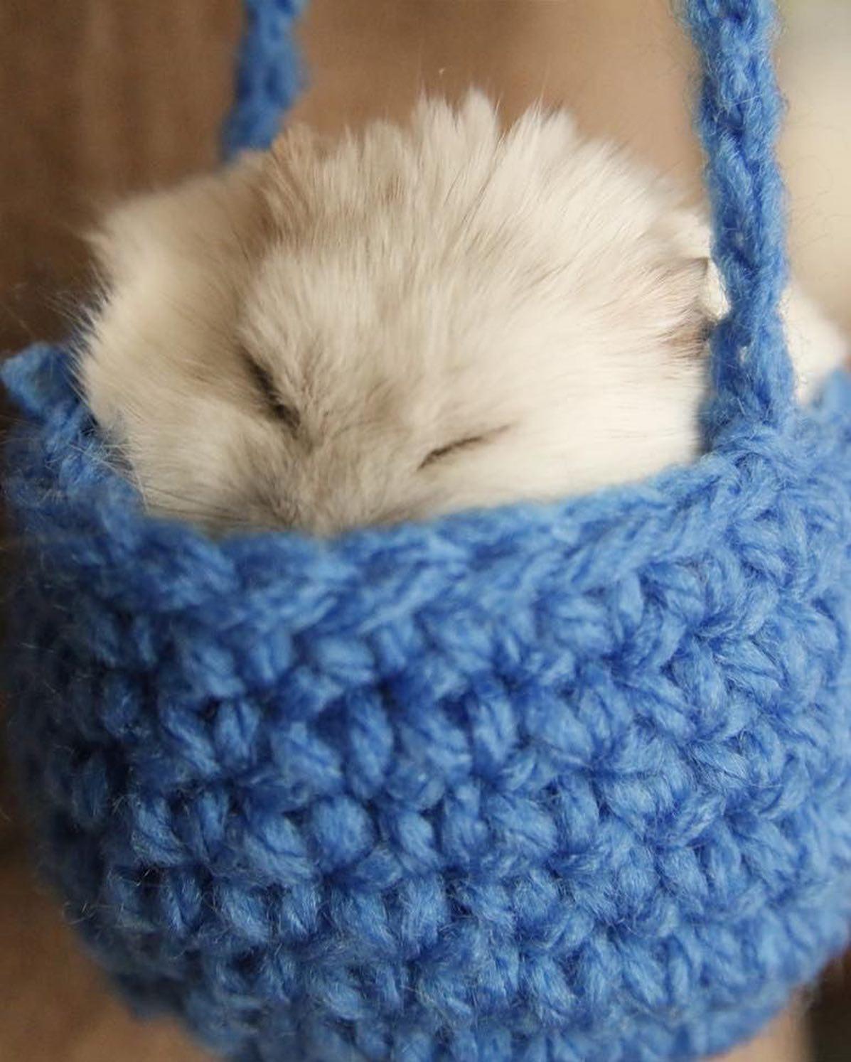 치명적인 햄찌 미니백 🐹👛 이미지4