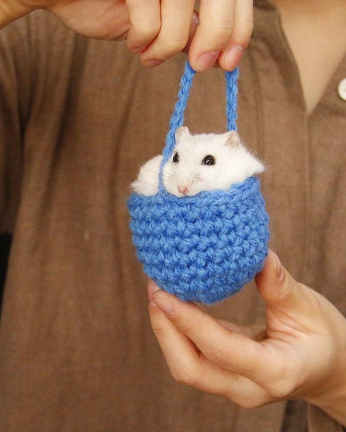 치명적인 햄찌 미니백 🐹👛 이미지6