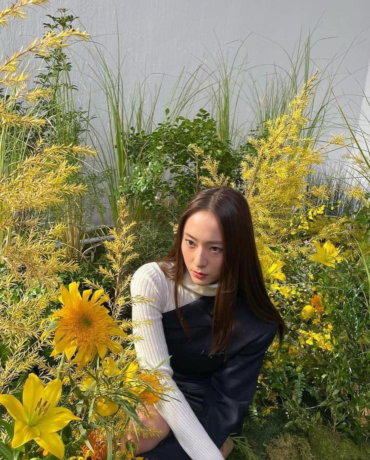 꾸안꾸 매력@크리스탈 데일리💎 이미지6