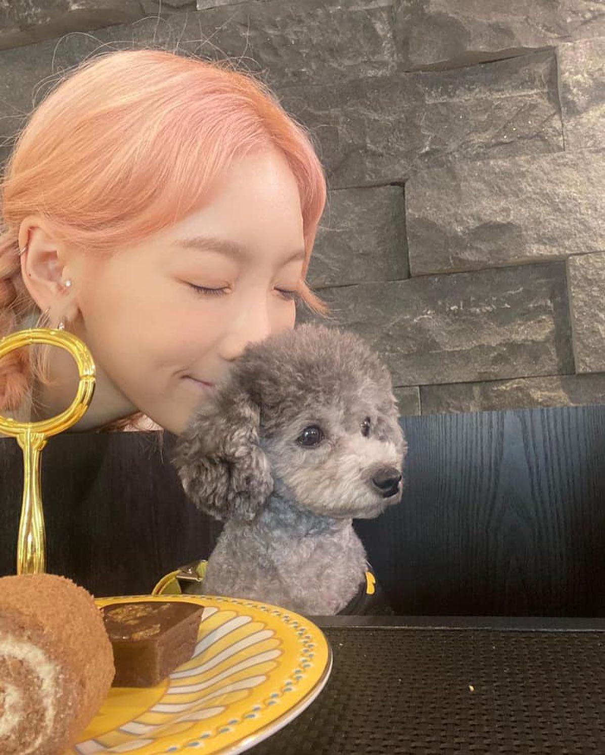 탈색 워너비 태연 🎀💛 이미지7