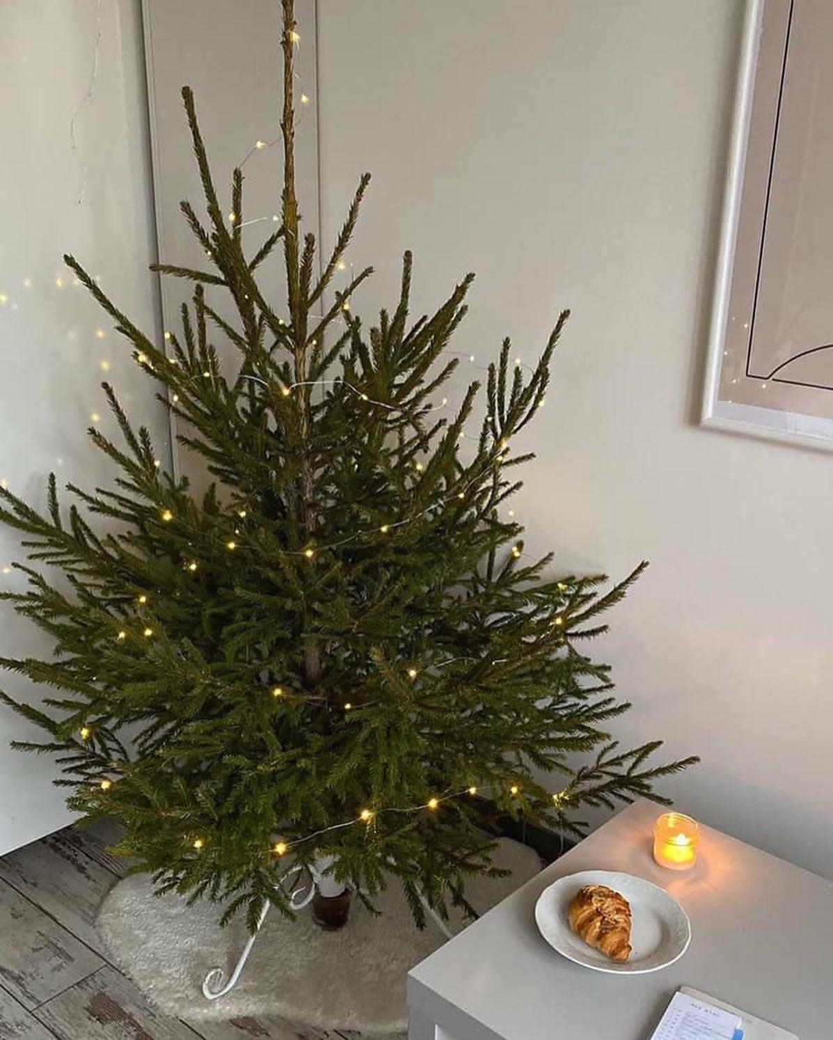 우리집도 연말분위기🎅🏼🎄☁️ 이미지6