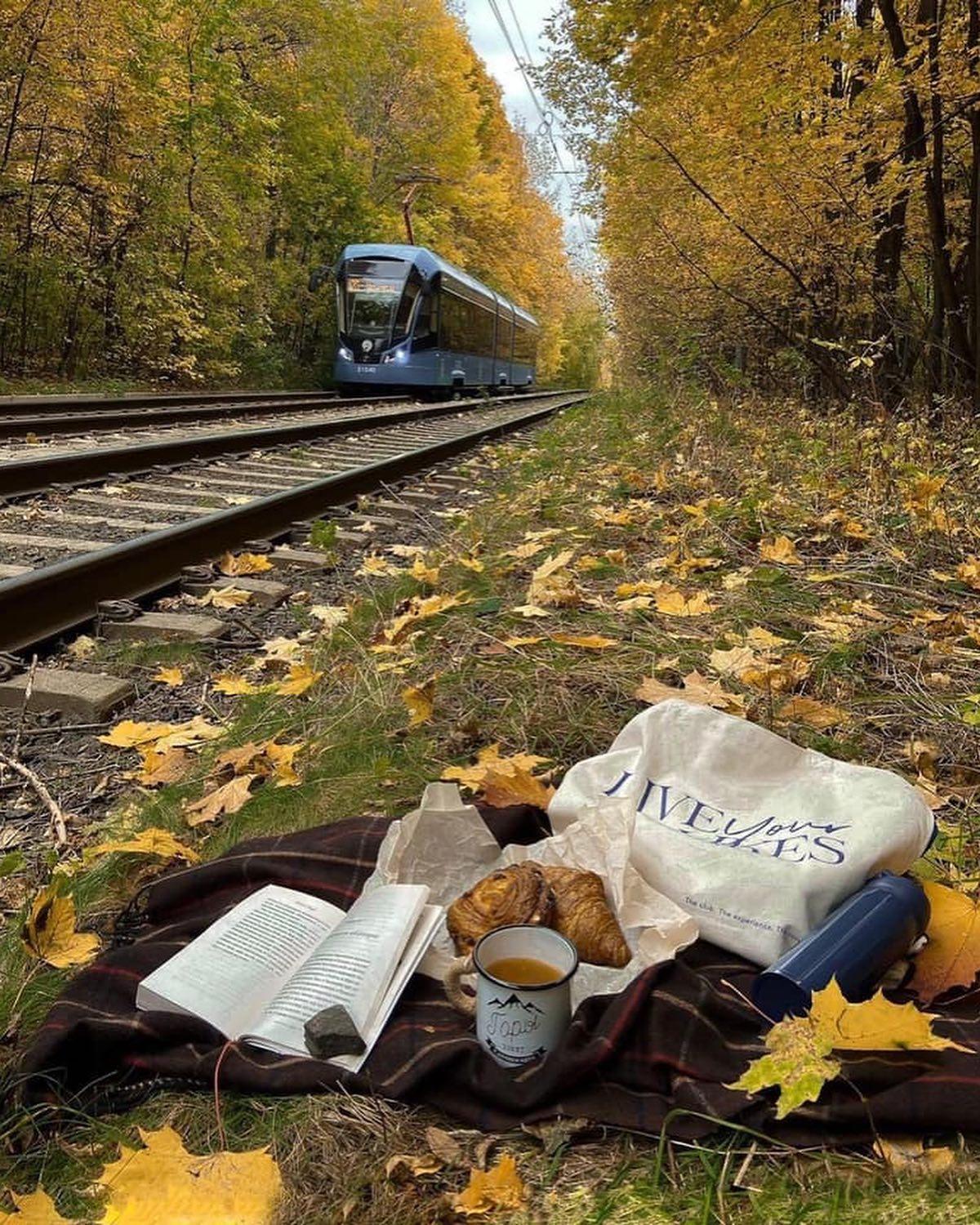 벌써 @단풍이라니🍁 이미지4