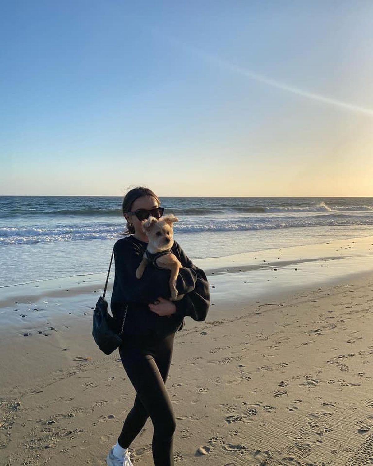 주말엔 멍뭉이랑 함께 외출🐶🦮 이미지5