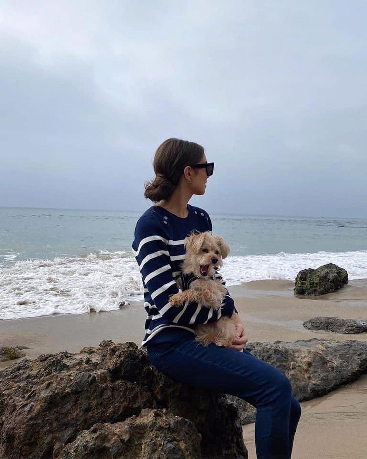 주말엔 멍뭉이랑 함께 외출🐶🦮 이미지7