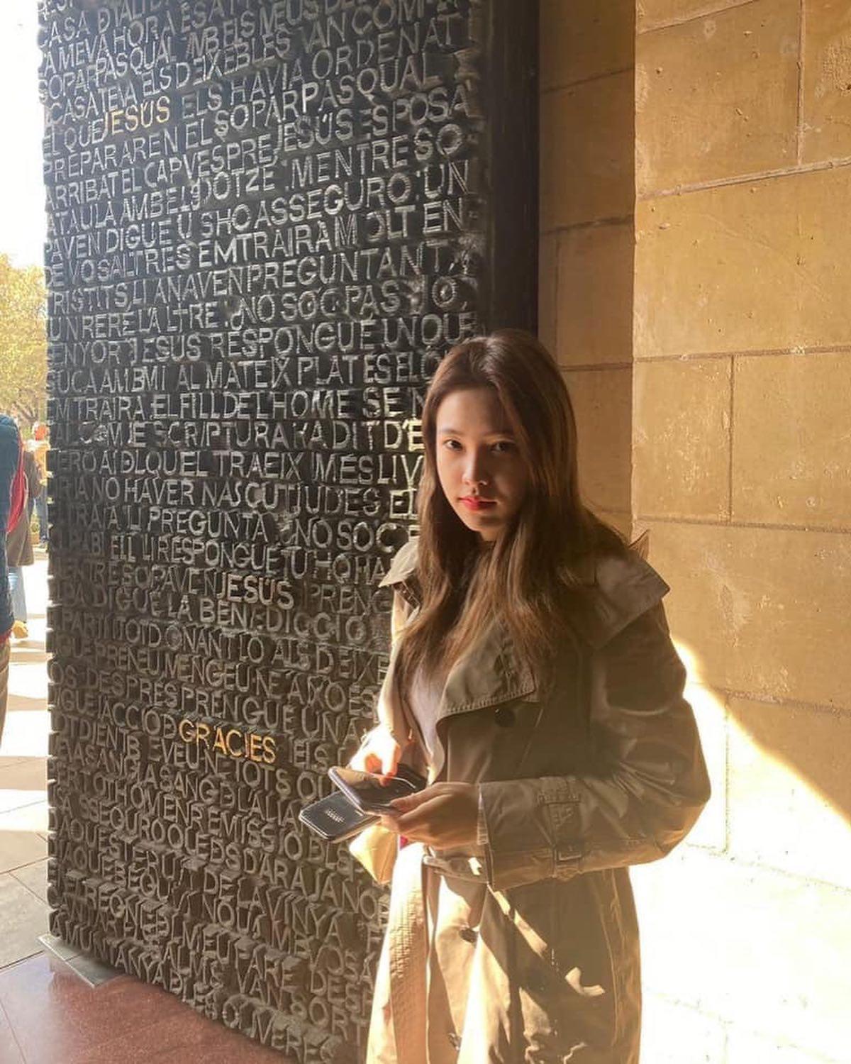 가을은 브라운의 계절🤎 이미지7