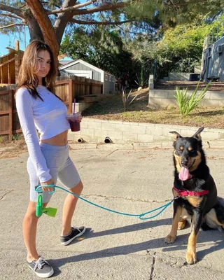 댕댕이 산책룩 구경하기🐕🦺💗 이미지
