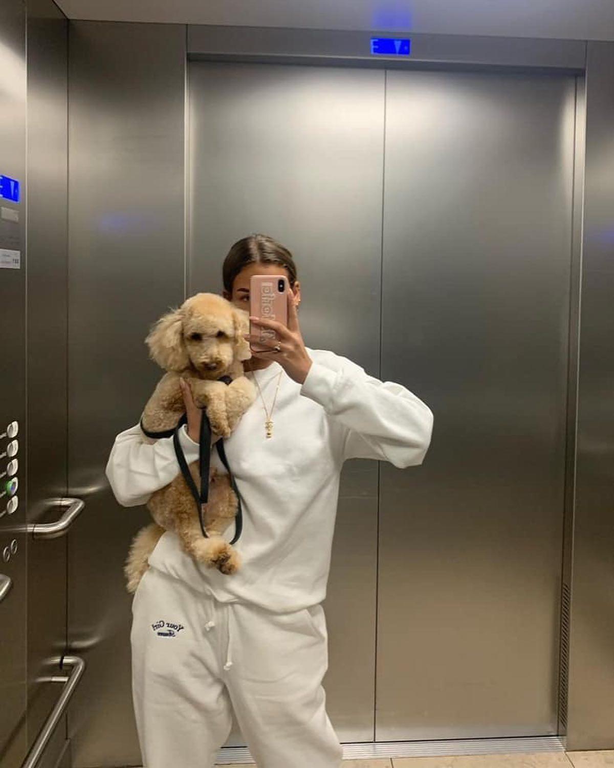 댕댕이 산책룩 구경하기🐕‍🦺💗 이미지2