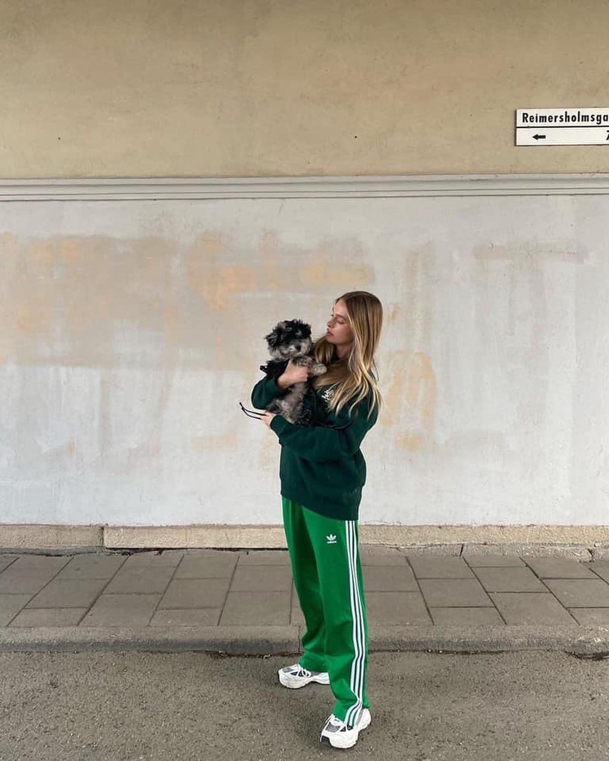 댕댕이 산책룩 구경하기🐕‍🦺💗 이미지3