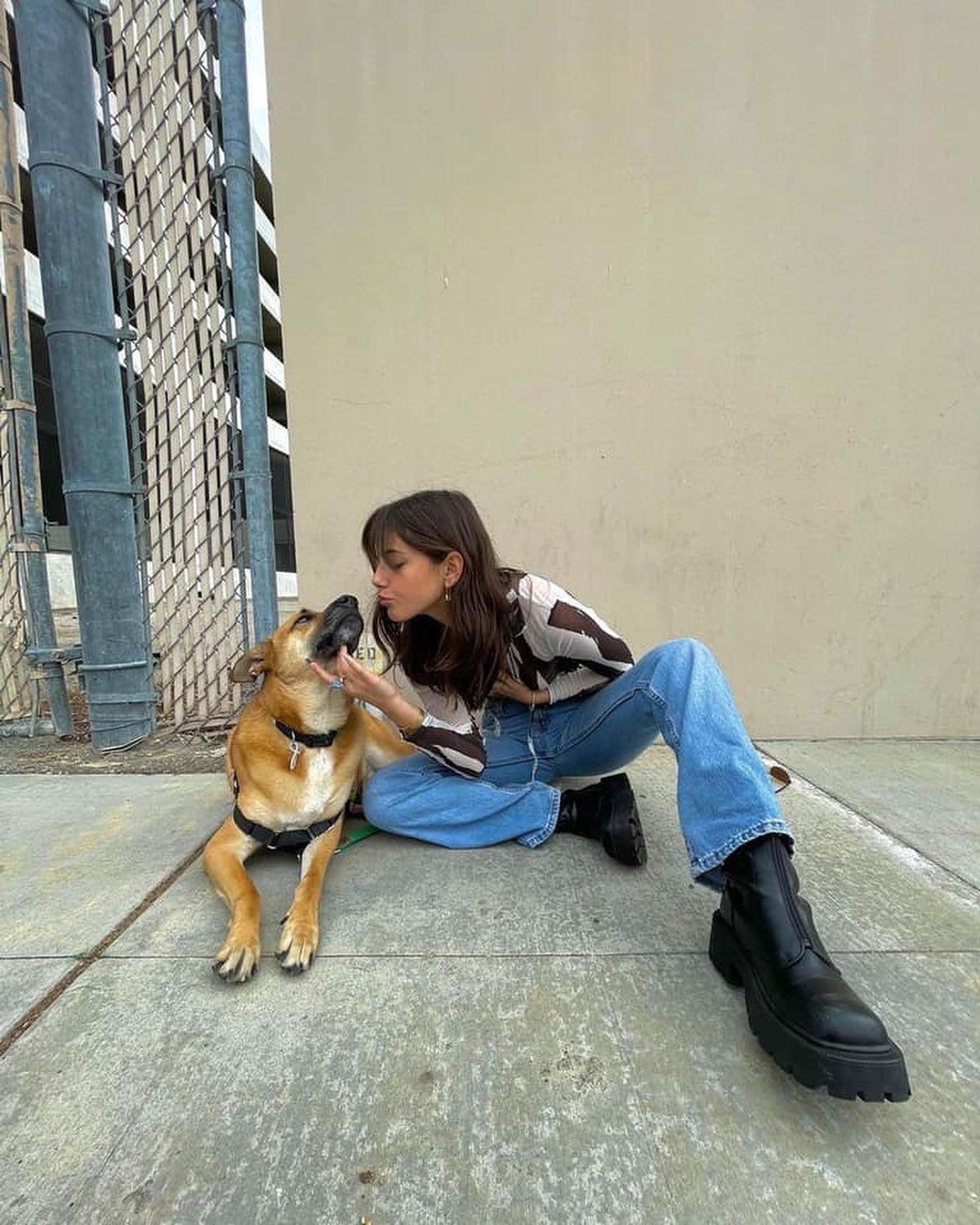 댕댕이 산책룩 구경하기🐕‍🦺💗 이미지4