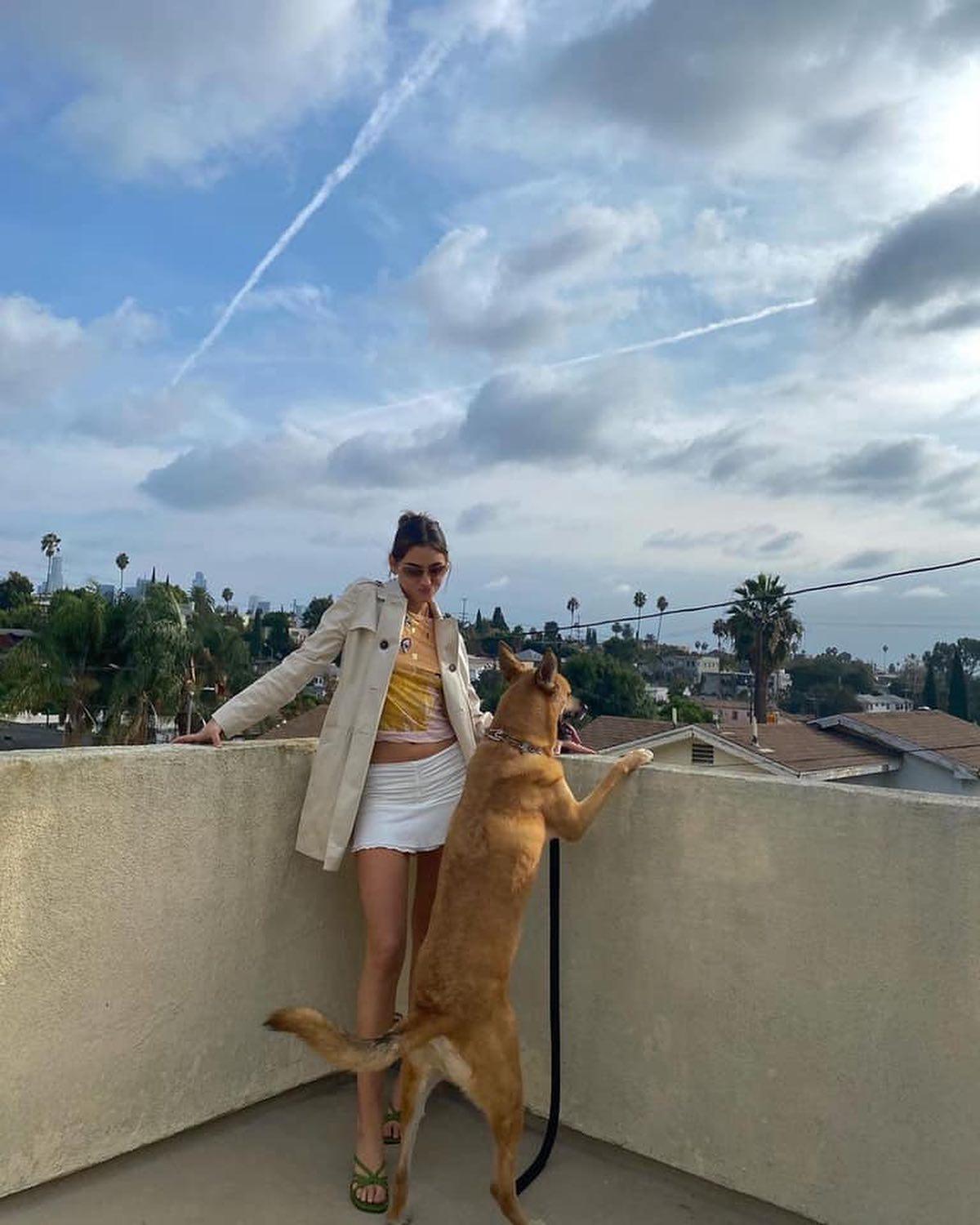 댕댕이 산책룩 구경하기🐕‍🦺💗 이미지7