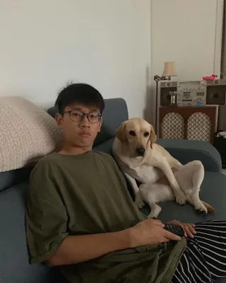 멍뭉미🐶 크러쉬 사복👀 이미지