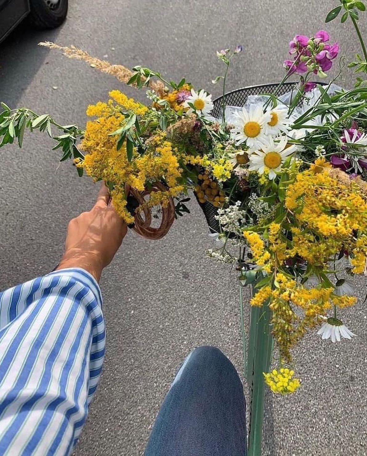 일상 속 자전거타기🚴🏻♀️🌿 이미지7