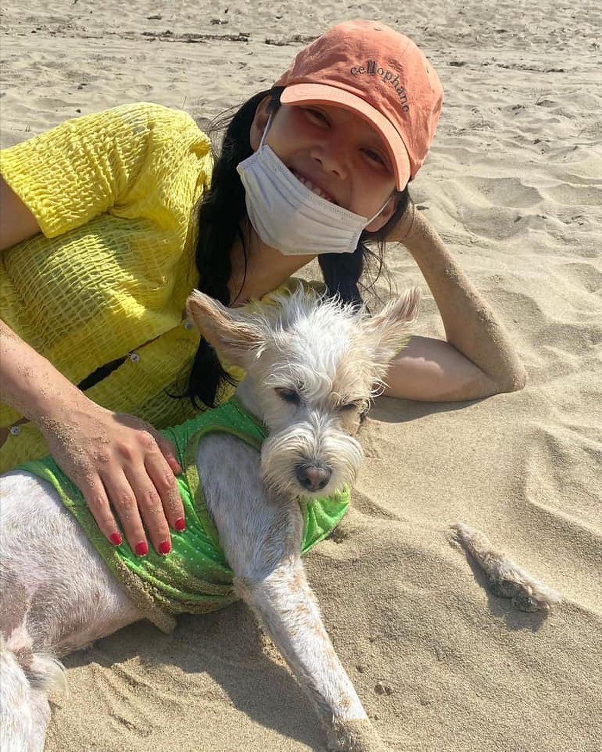 마음이 편해지는 멍스타그램🐶💚 이미지