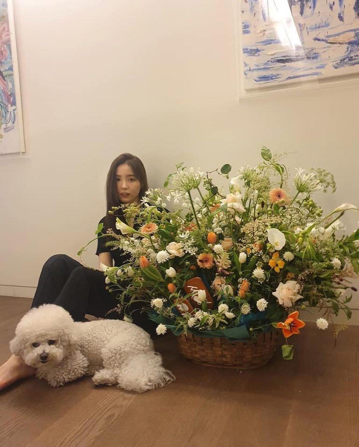 마음이 편해지는 멍스타그램🐶💚 이미지