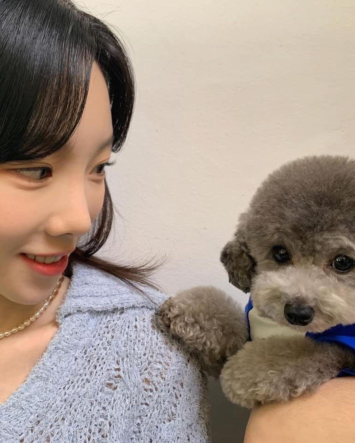 마음이 편해지는 멍스타그램🐶💚 이미지4