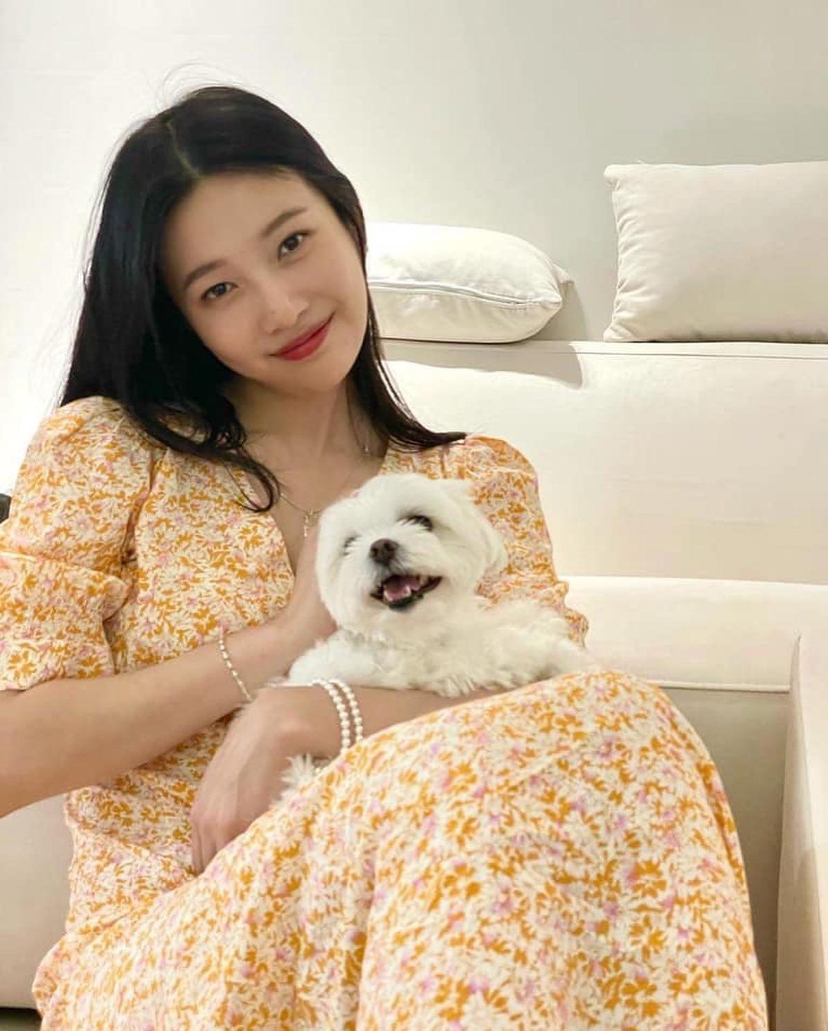 마음이 편해지는 멍스타그램🐶💚 이미지6