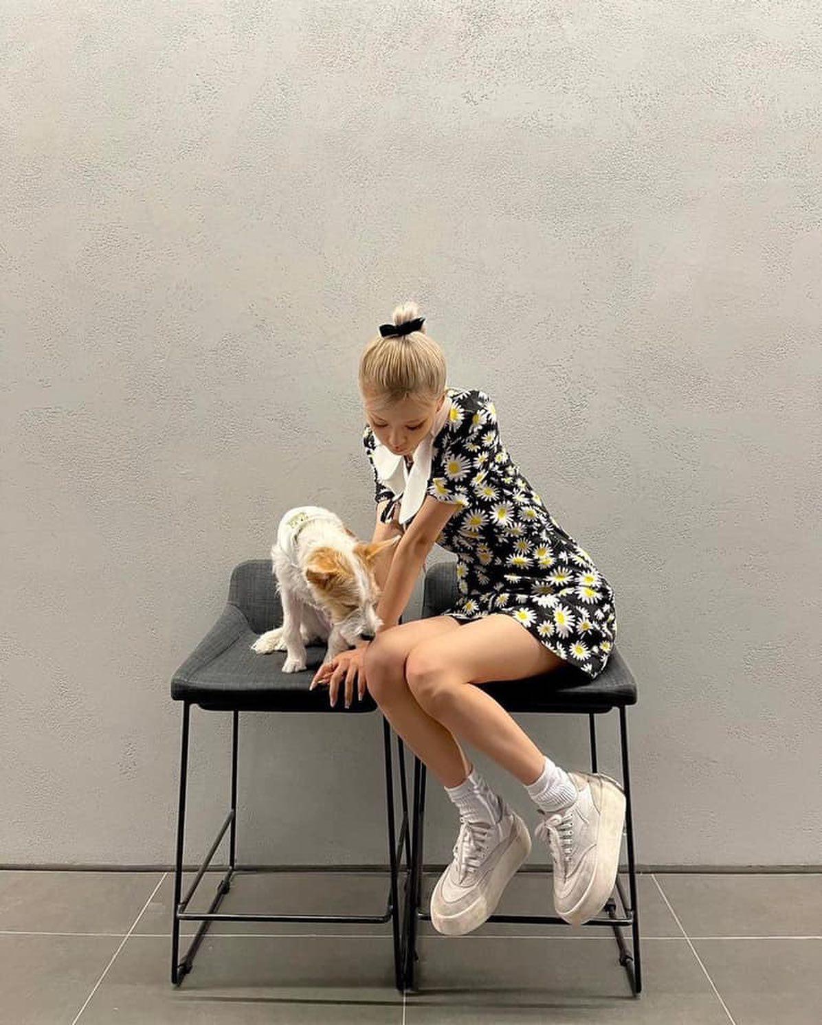 마음이 편해지는 멍스타그램🐶💚 이미지7