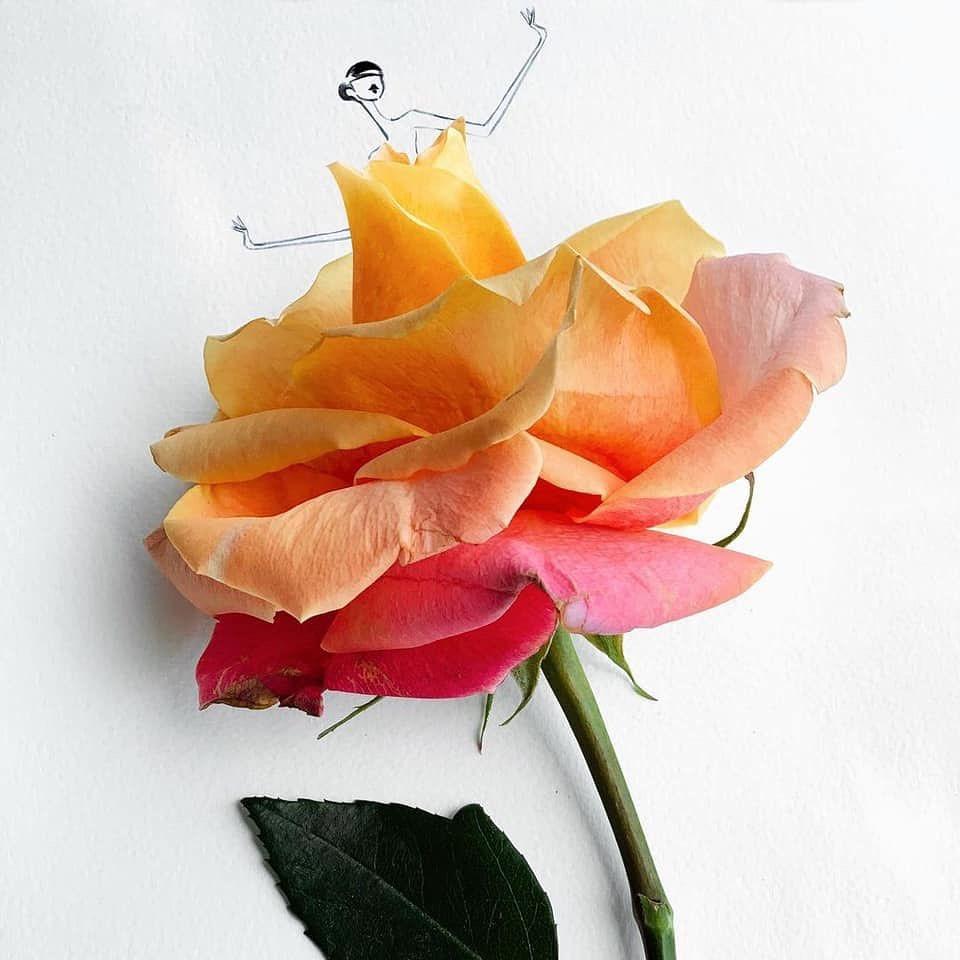 꽃으로 일러스트🌷예뻐요🙏🏻 이미지9