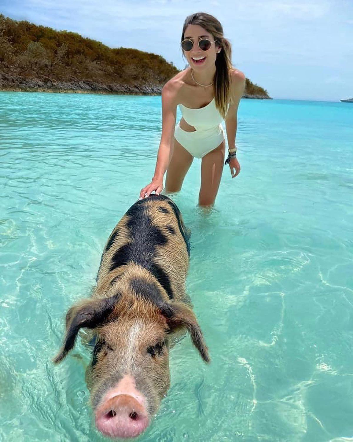 바하마 돼지섬🐷 신기해💙 이미지1