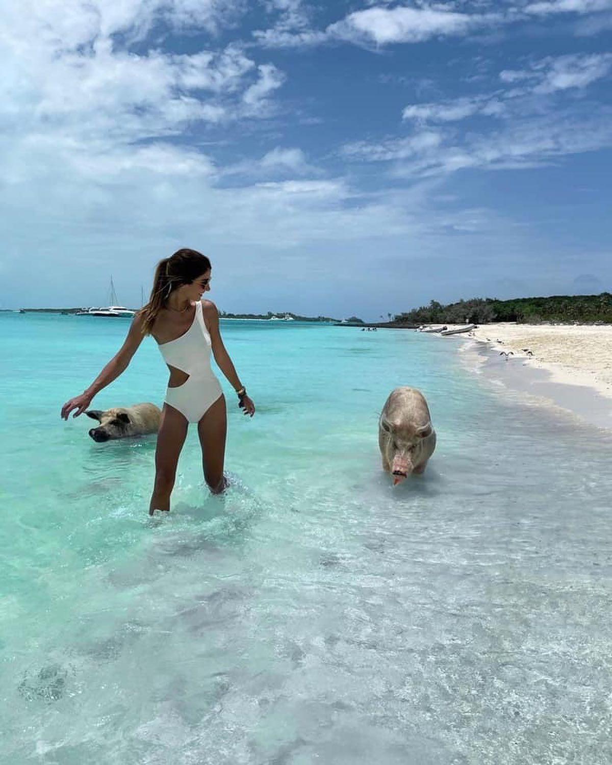 바하마 돼지섬🐷 신기해💙 이미지2